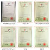 China Jinan Auten Machinery Co., Ltd. certificaten